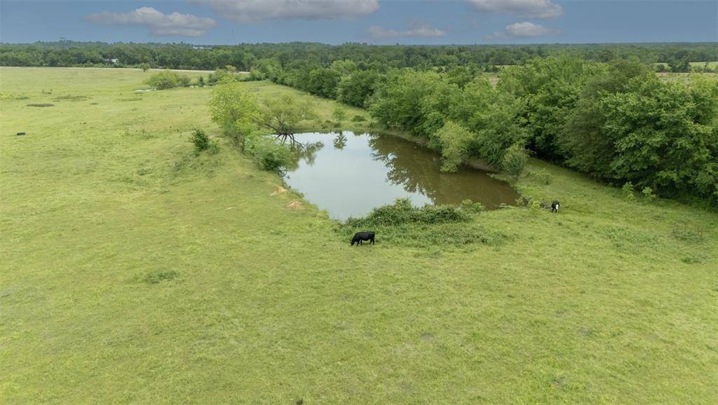 Sulphur Springs, TX 75482,TBD PR 6307