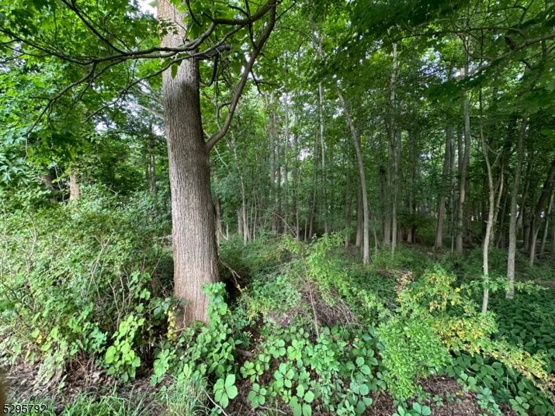 West Caldwell Twp., NJ 07006,L1101 Fairfield Ave