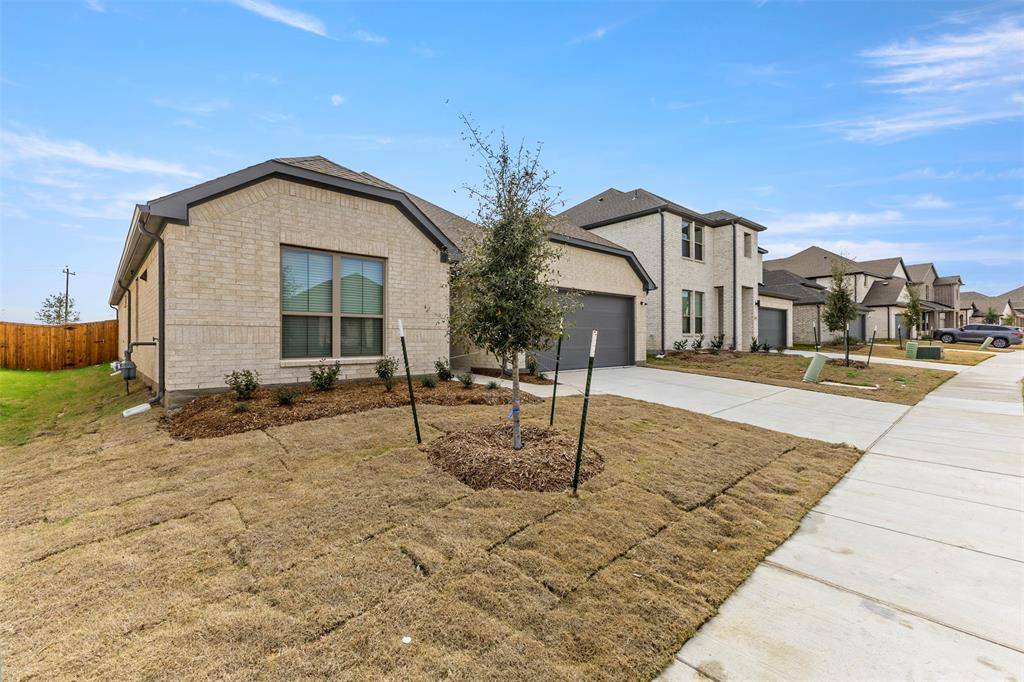 Mckinney, TX 75071,905 Honeydew Lane