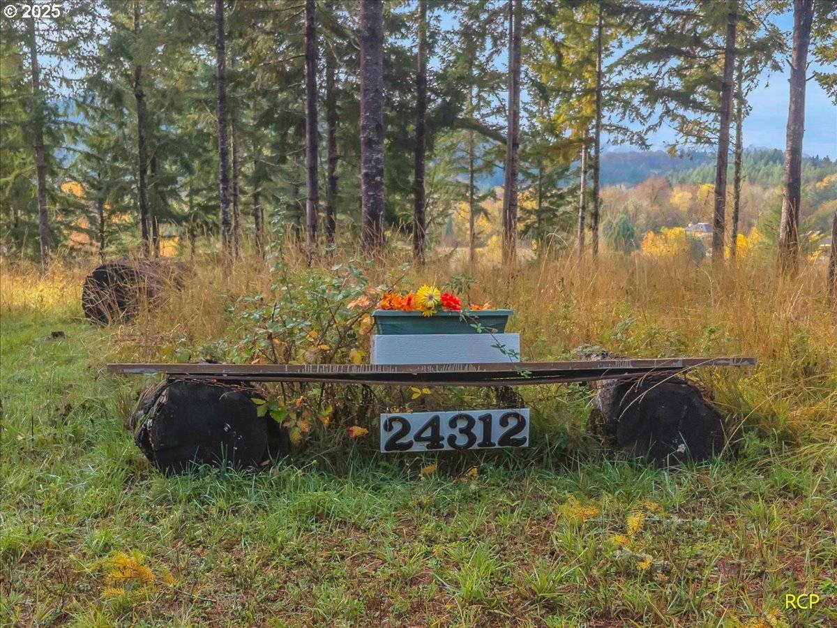 Philomath, OR 97370,24312 CARDWELL HILL DR