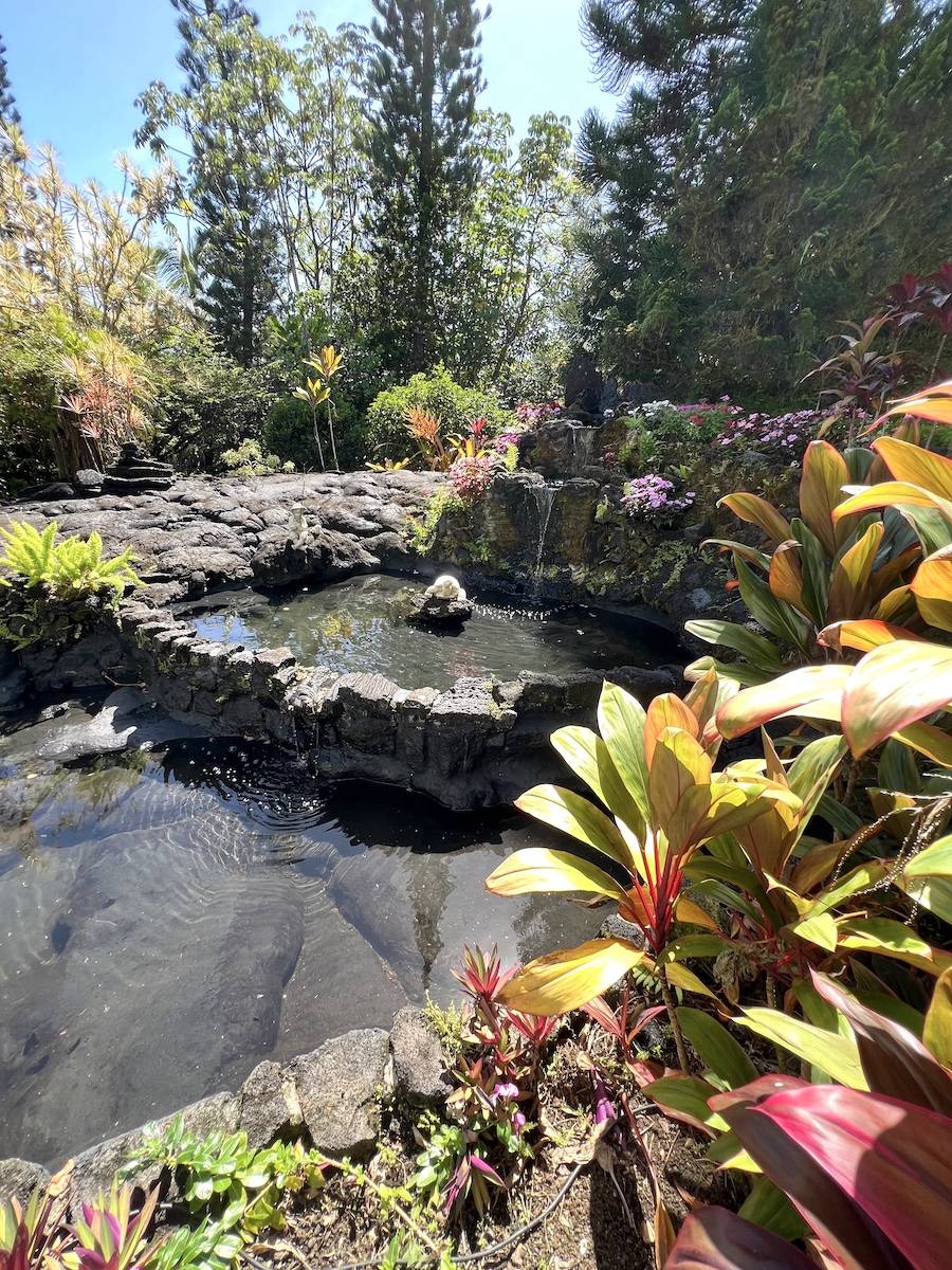 Keaau, HI 96749,15-1909 3RD AVE