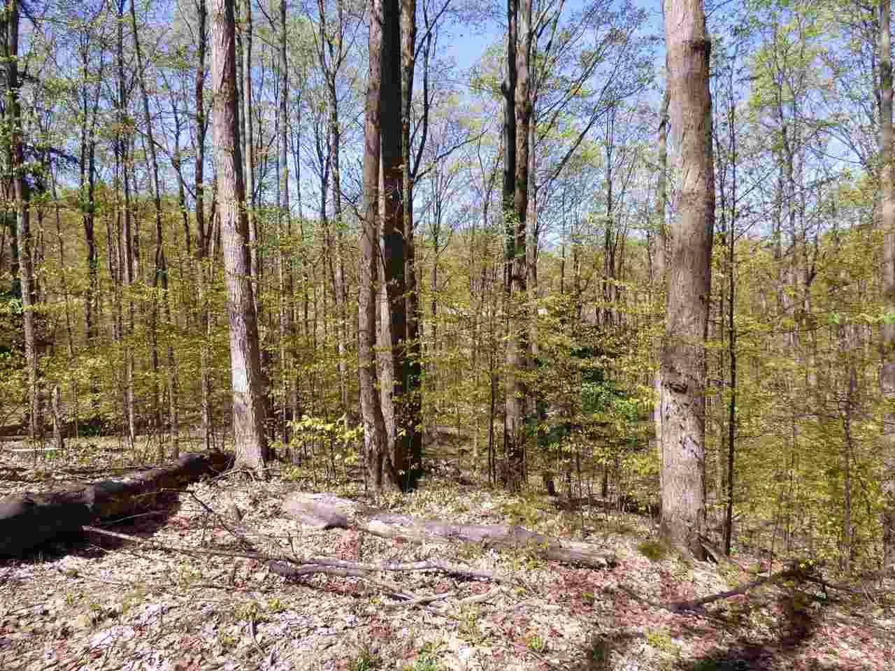 Bellaire, MI 49615,Parcel B Broken Arrow