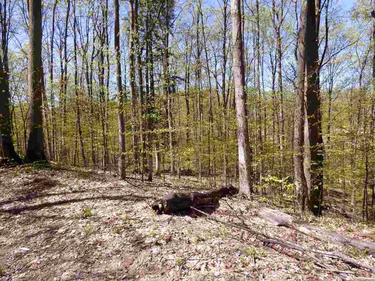 Bellaire, MI 49615,Parcel B Broken Arrow