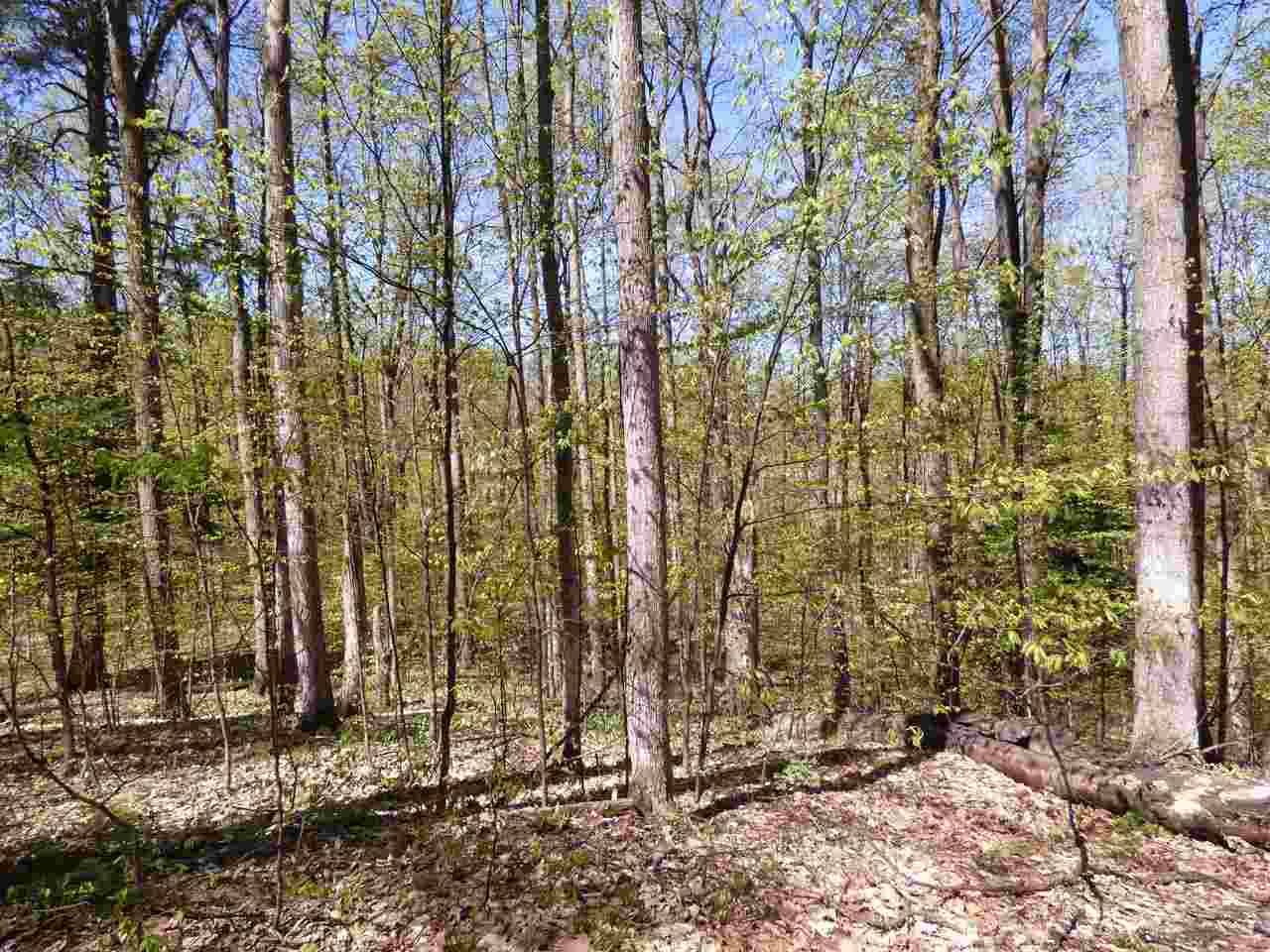 Bellaire, MI 49615,Parcel B Broken Arrow