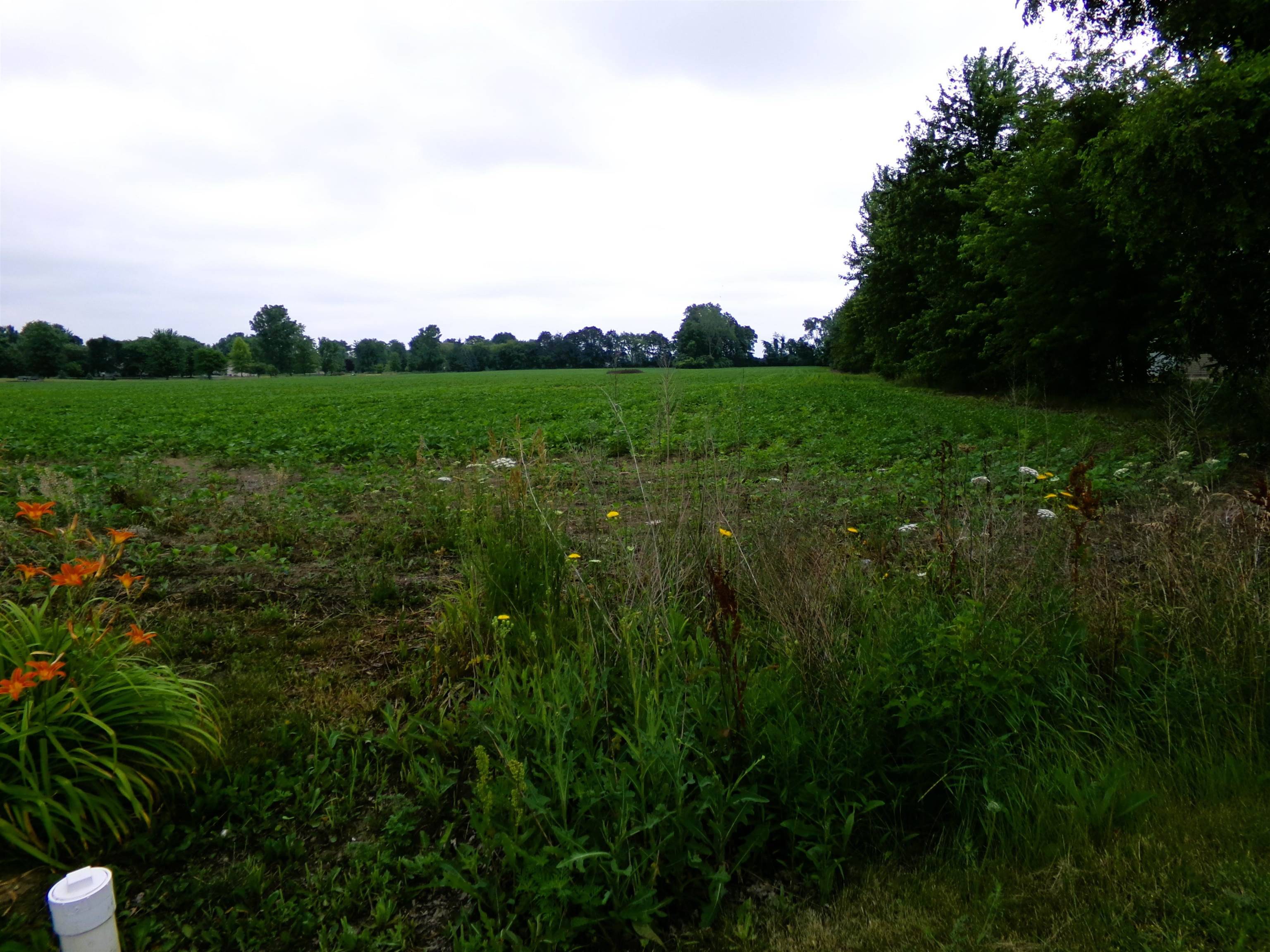 Saginaw, MI 48603,TBD Garfield RD