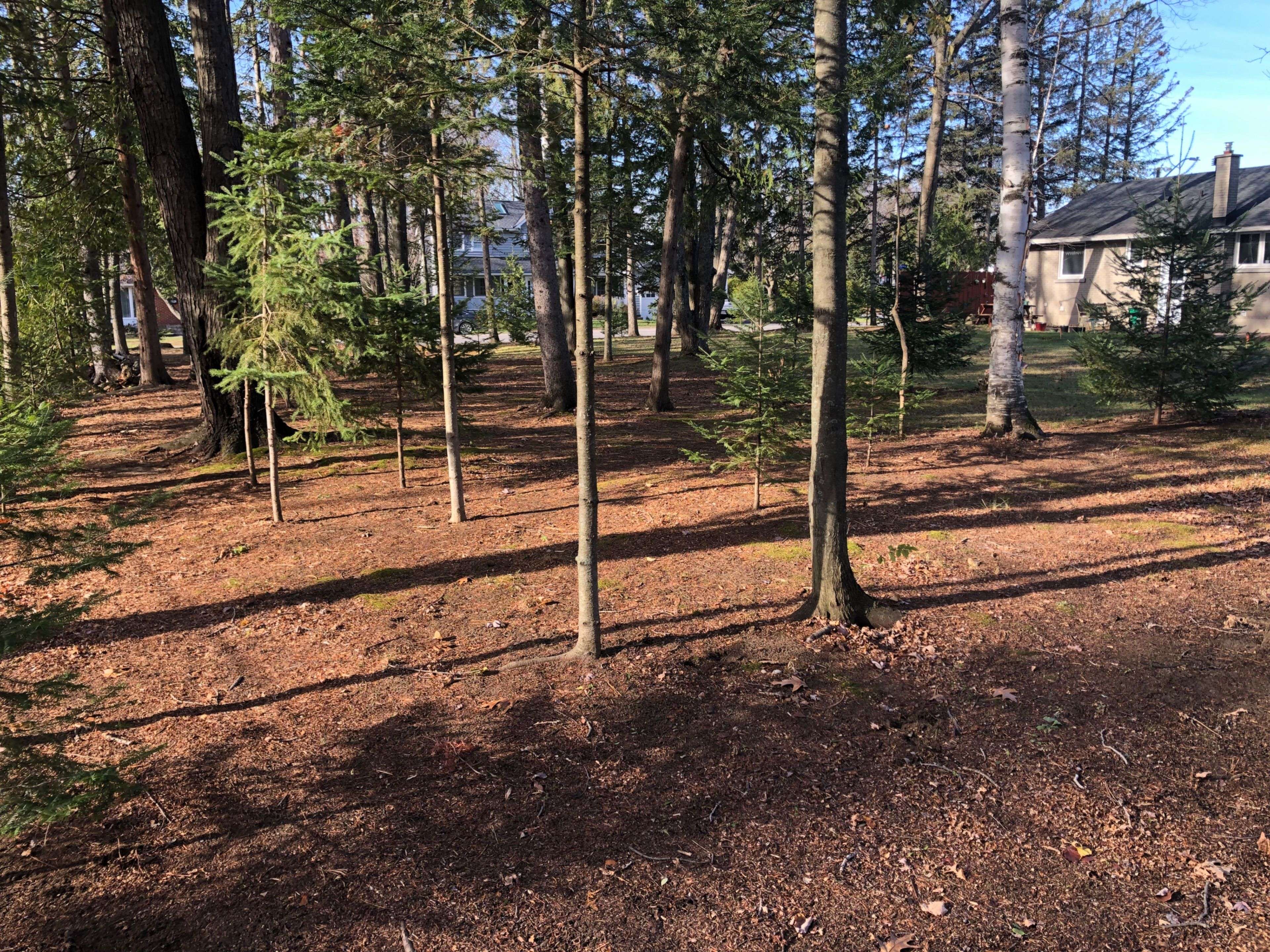 Tanglewood - Grenfell Glen - Pineglen, ON K2G 0C2,65 Vaan DR