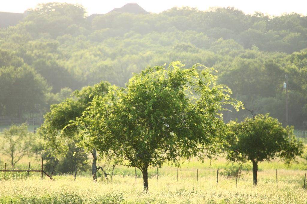 Mineral Wells, TX 76067,T B D HAYES Road