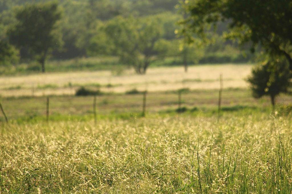 Mineral Wells, TX 76067,T B D HAYES Road