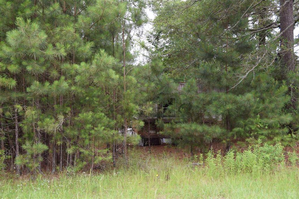 Doyline, LA 71023,208 Palmetto Drive