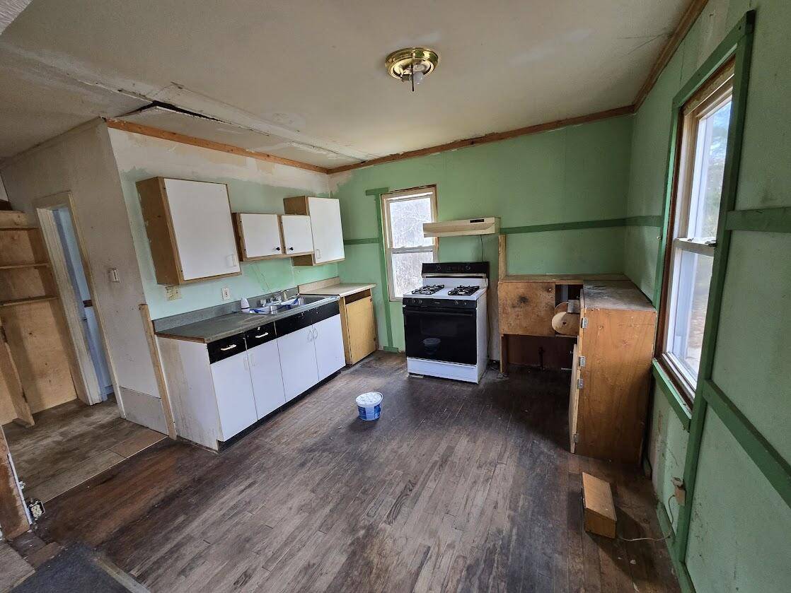 Idlewild, MI 49642,317 E Baldwin RD