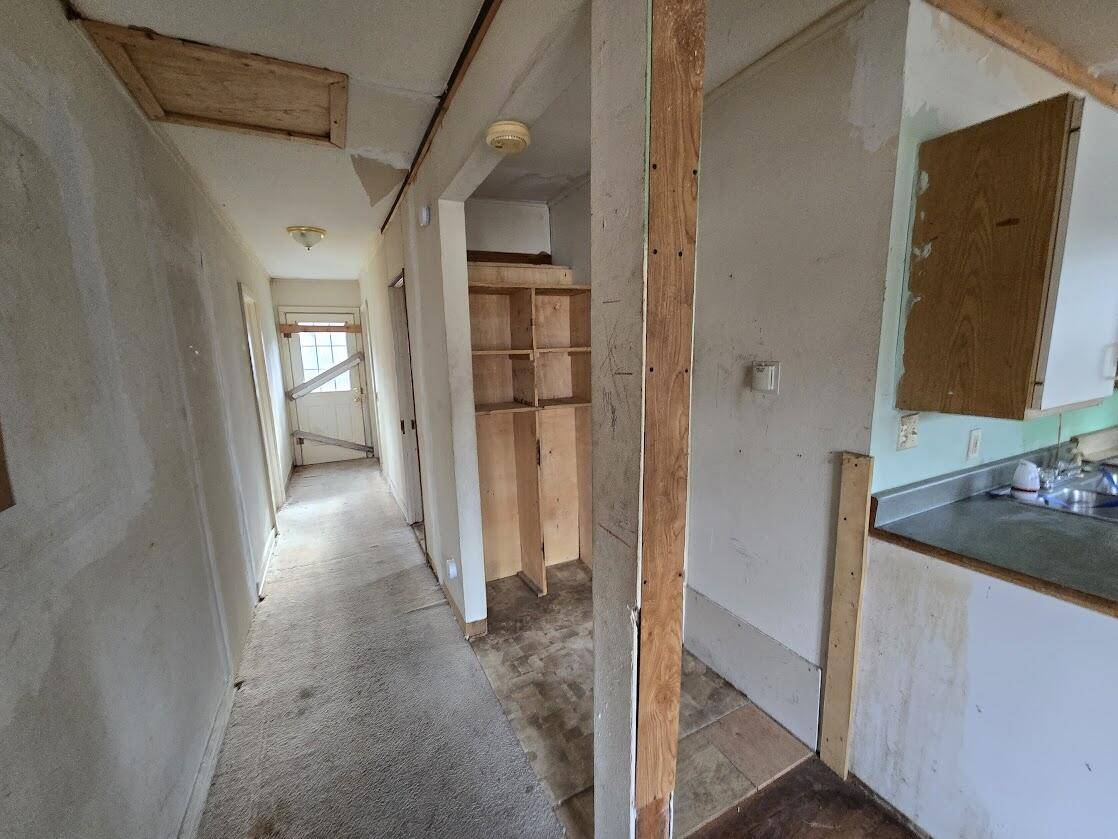 Idlewild, MI 49642,317 E Baldwin RD