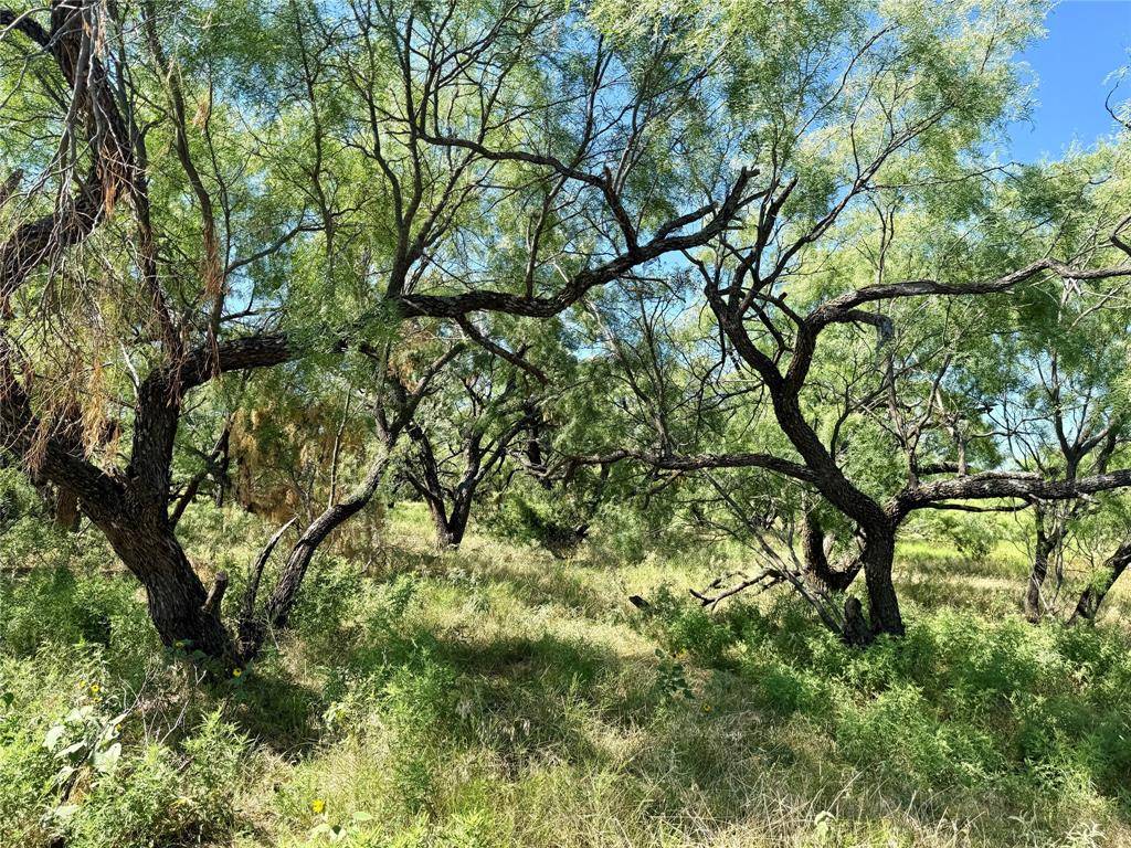 TBD County Road 121, Cross Plains, TX 76443