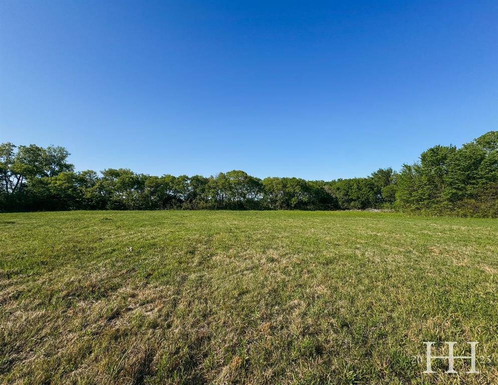 Gunter, TX 75058,TBD Lot 4 McConnell Road