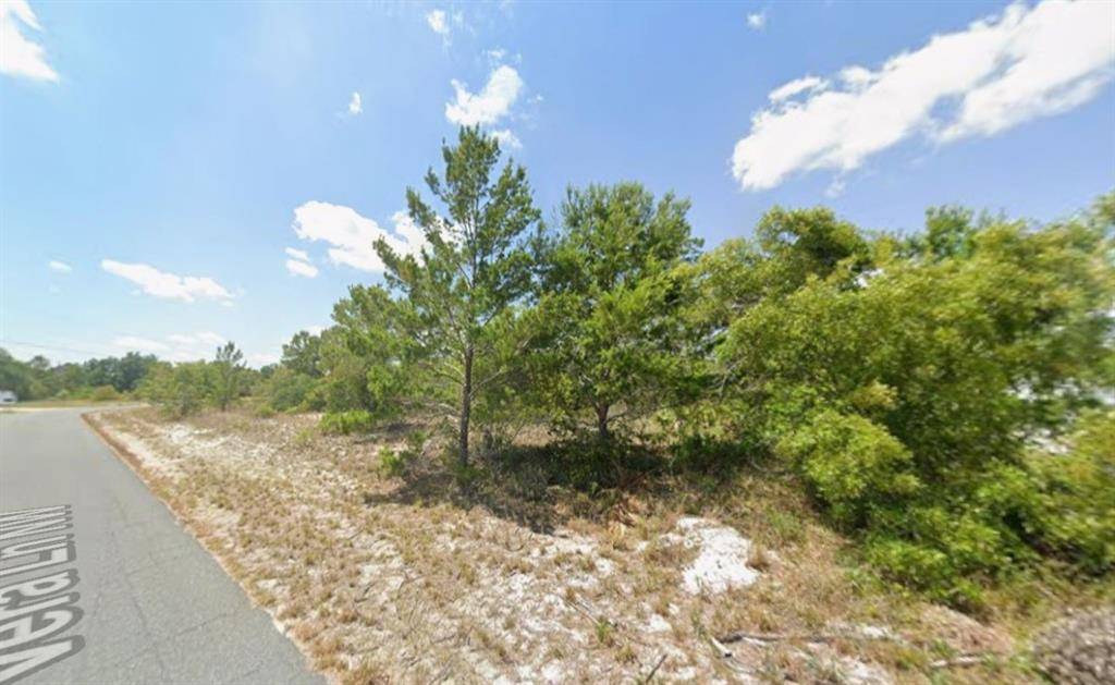 Lake Placid, FL 33852,103-105 Vera Ln