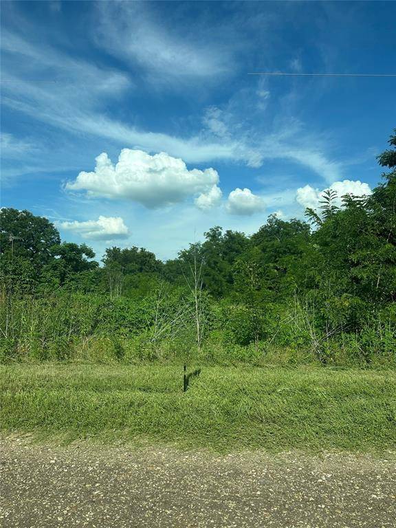 Marlin, TX 76661,TBD County Road 287