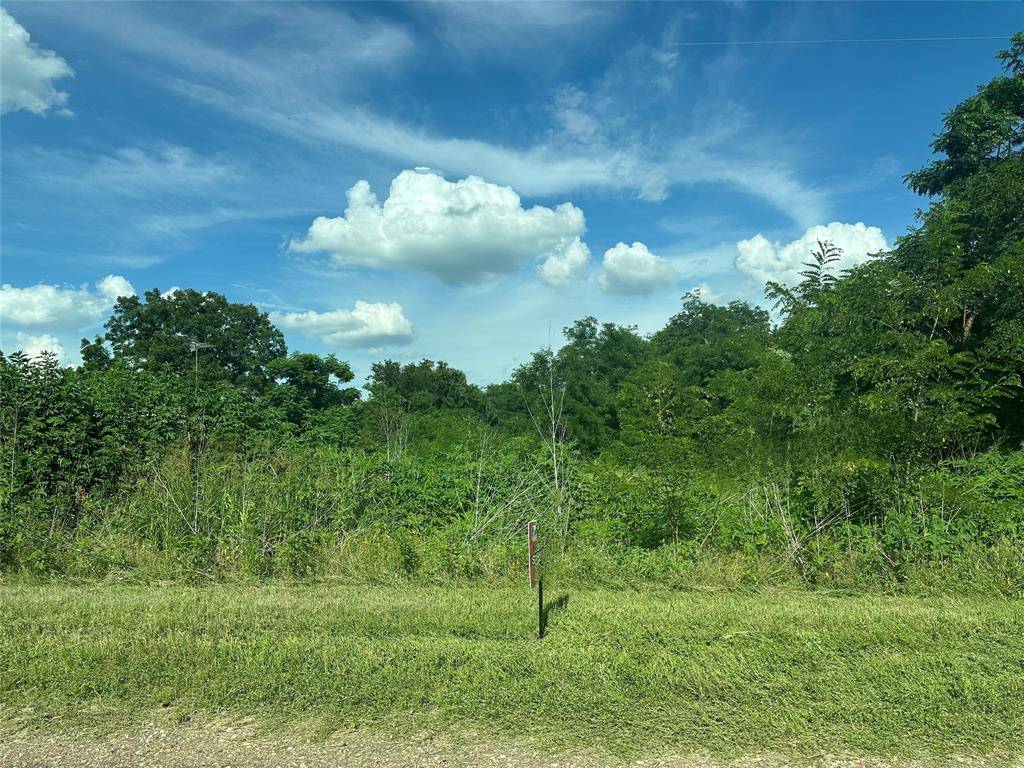 Marlin, TX 76661,TBD County Road 287