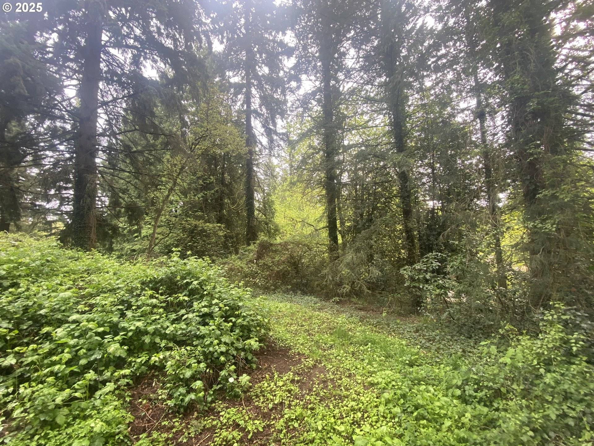 Portland, OR 97219,1345 SW TAYLORS FERRY CT