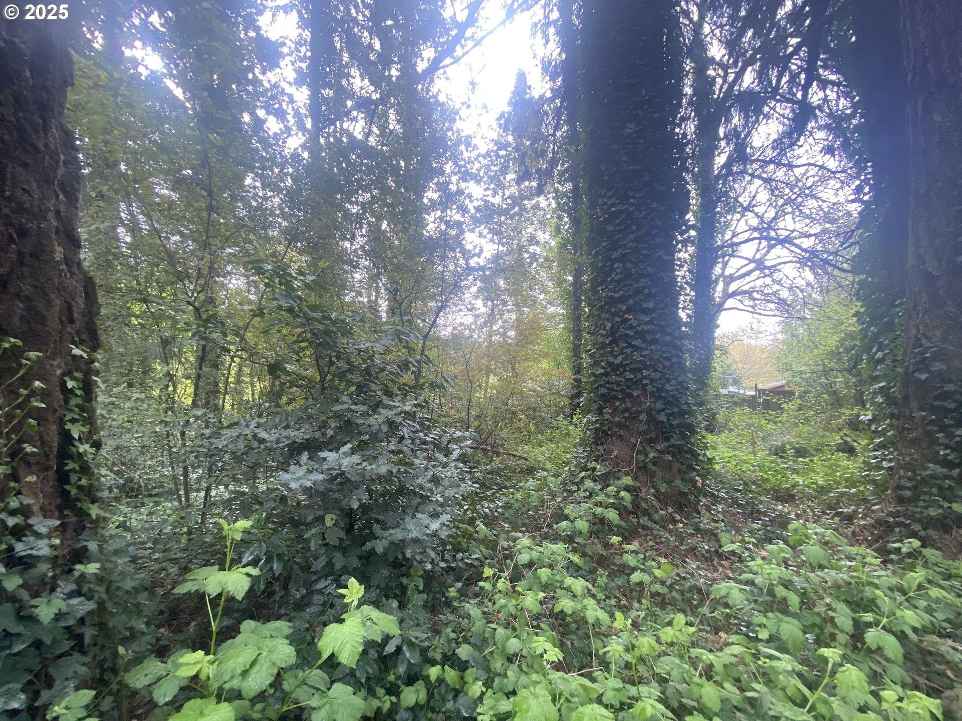 Portland, OR 97219,1345 SW TAYLORS FERRY CT