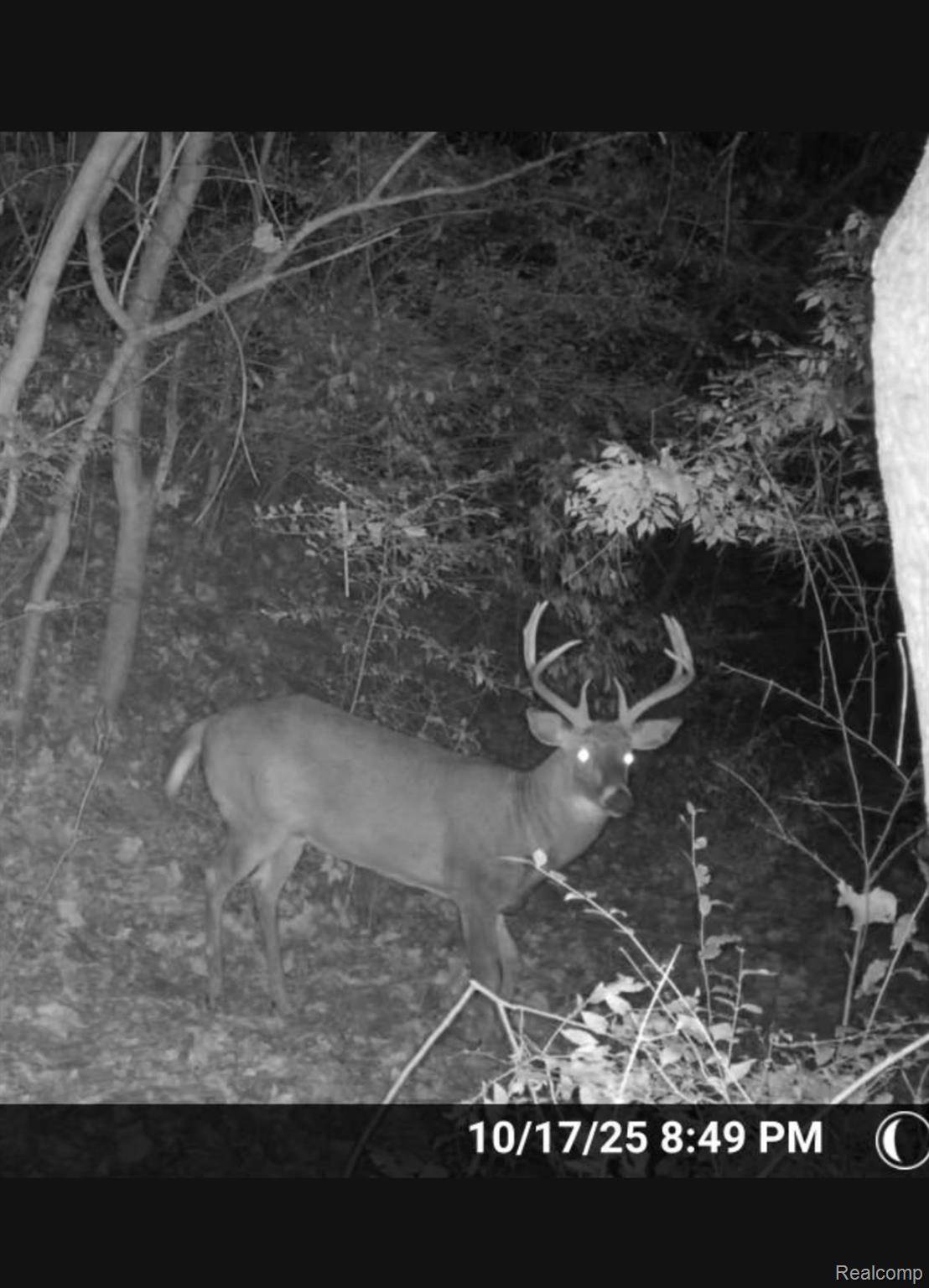 Adrian, MI 49221,2298 N Wilmoth HWY