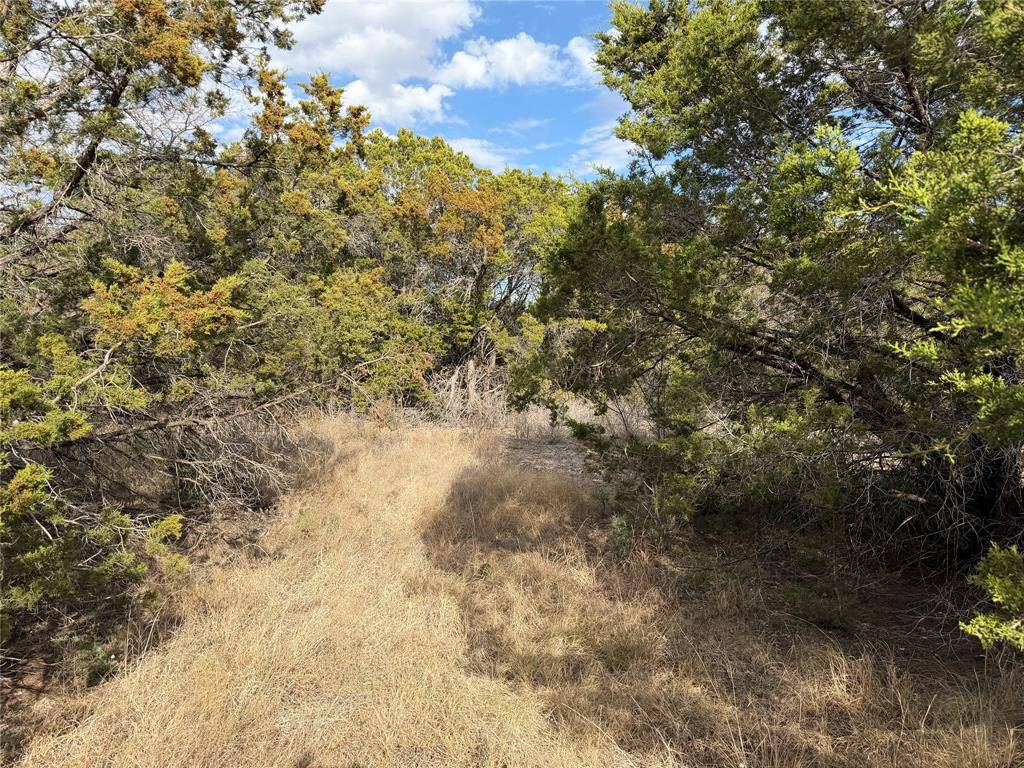 Graford, TX 76449,1070 Enchanted Rock Court