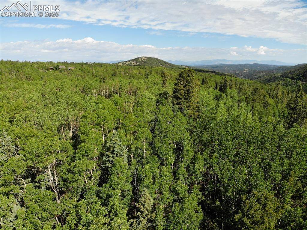 Cripple Creek, CO 80813,12775 S State Highway 67