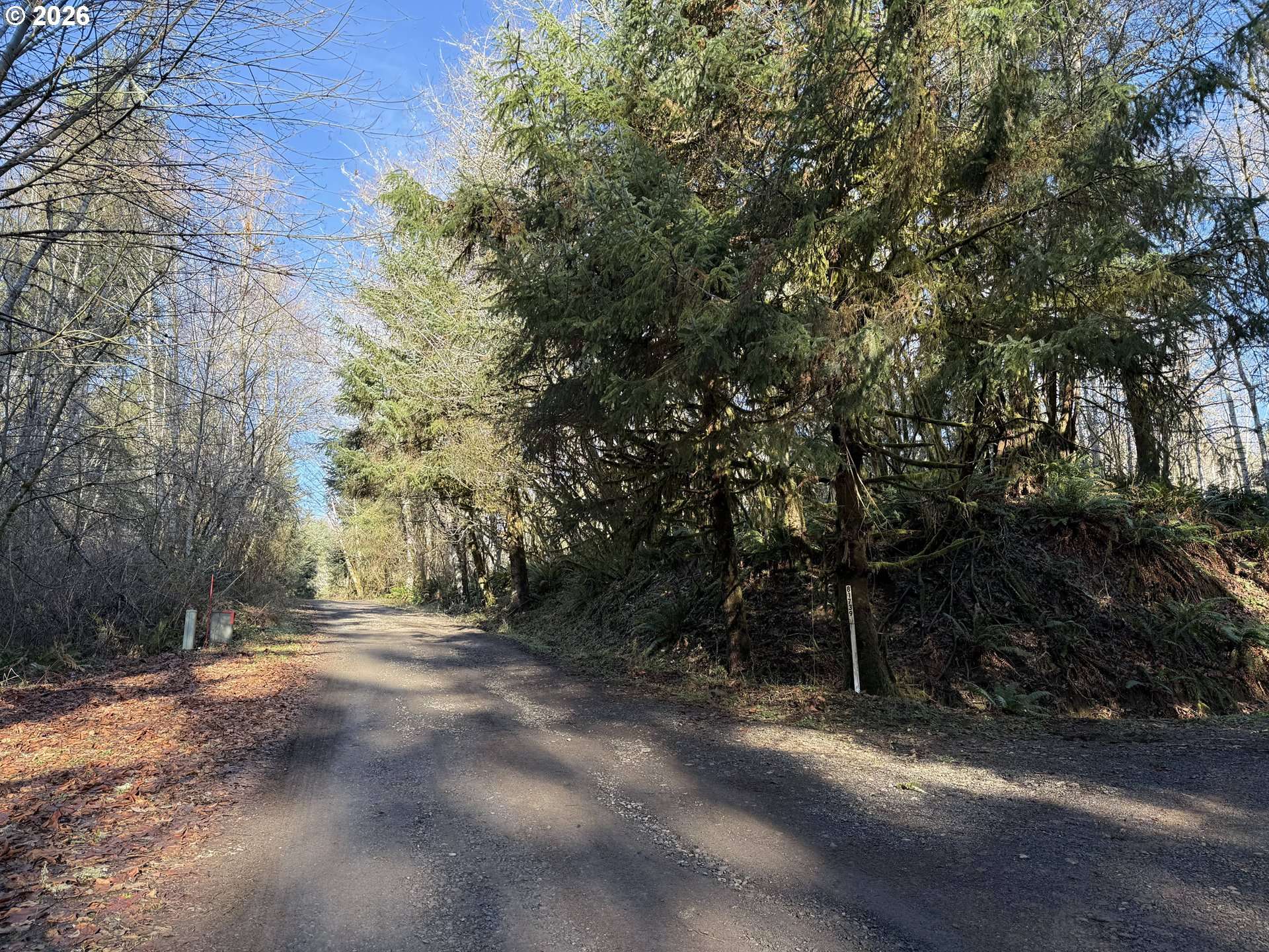 Seaside, OR 97138,81739 CHRISTMAS TREE RD