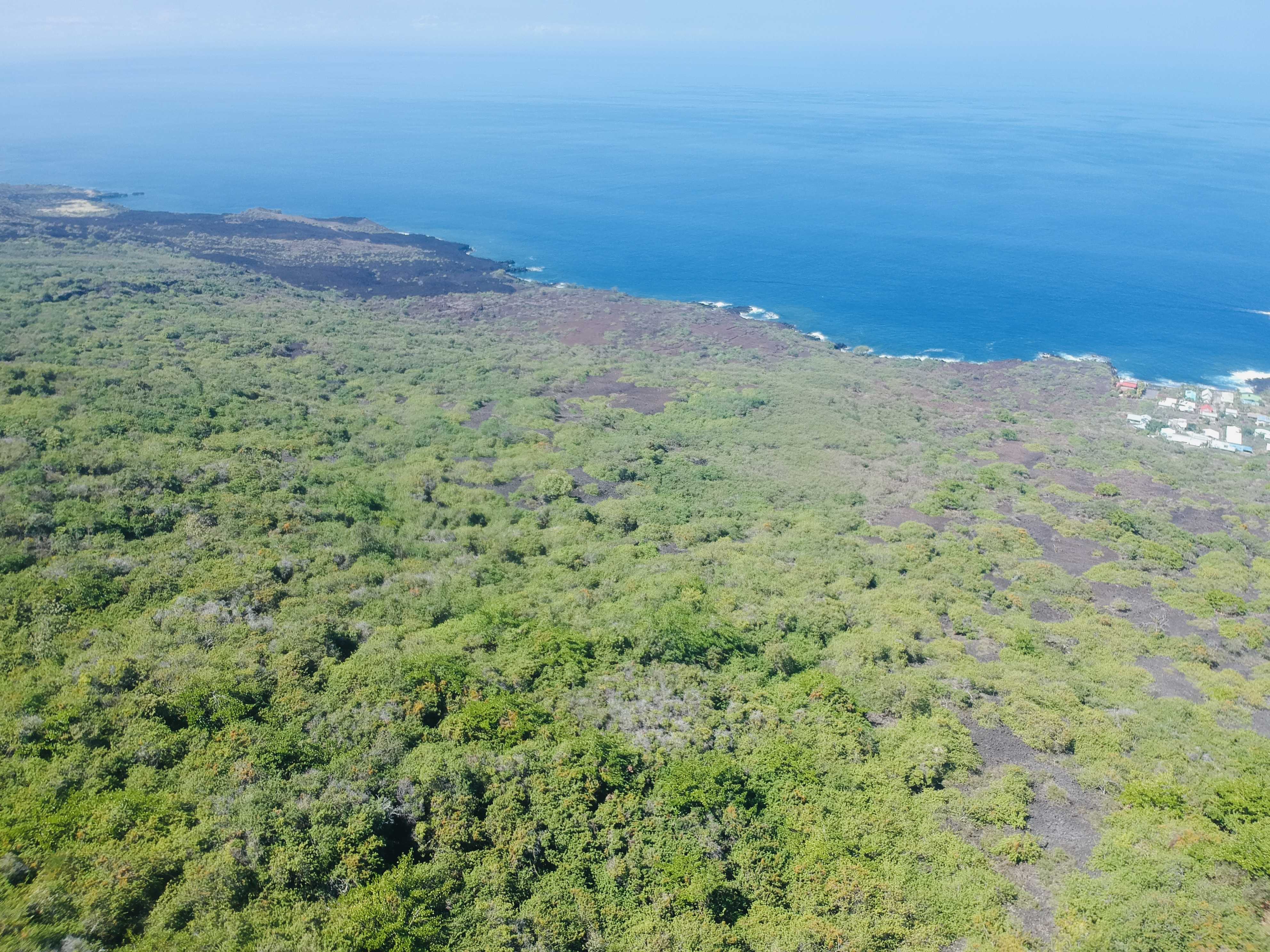 Captain Cook, HI 96704,87-3143 HAWAII BELT RD