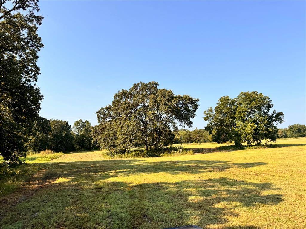 East Tawakoni, TX 75472,TBD FM 513