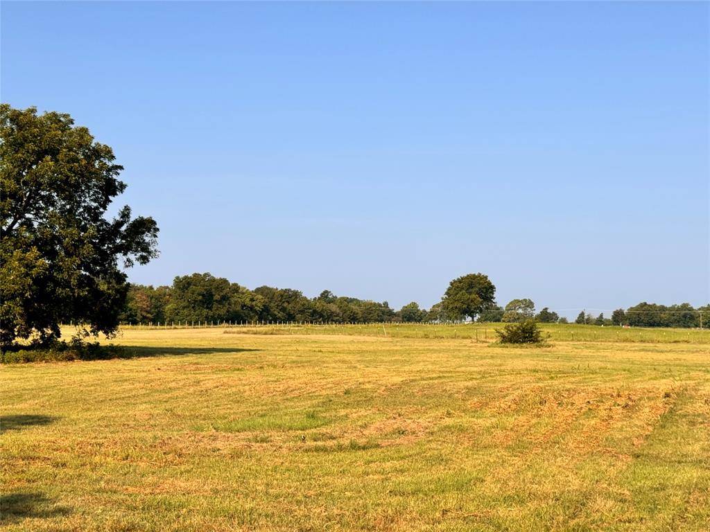 East Tawakoni, TX 75472,TBD FM 513