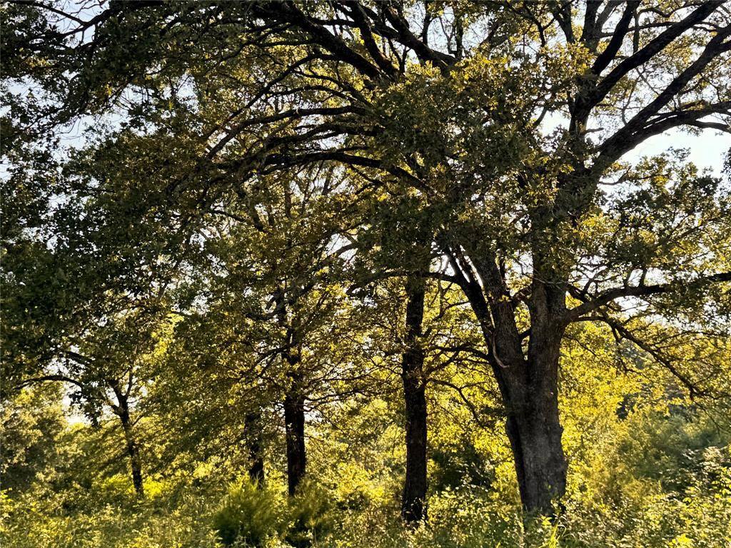 East Tawakoni, TX 75472,TBD FM 513