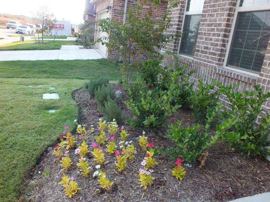 Little Elm, TX 75068,620 Calliopsis Street