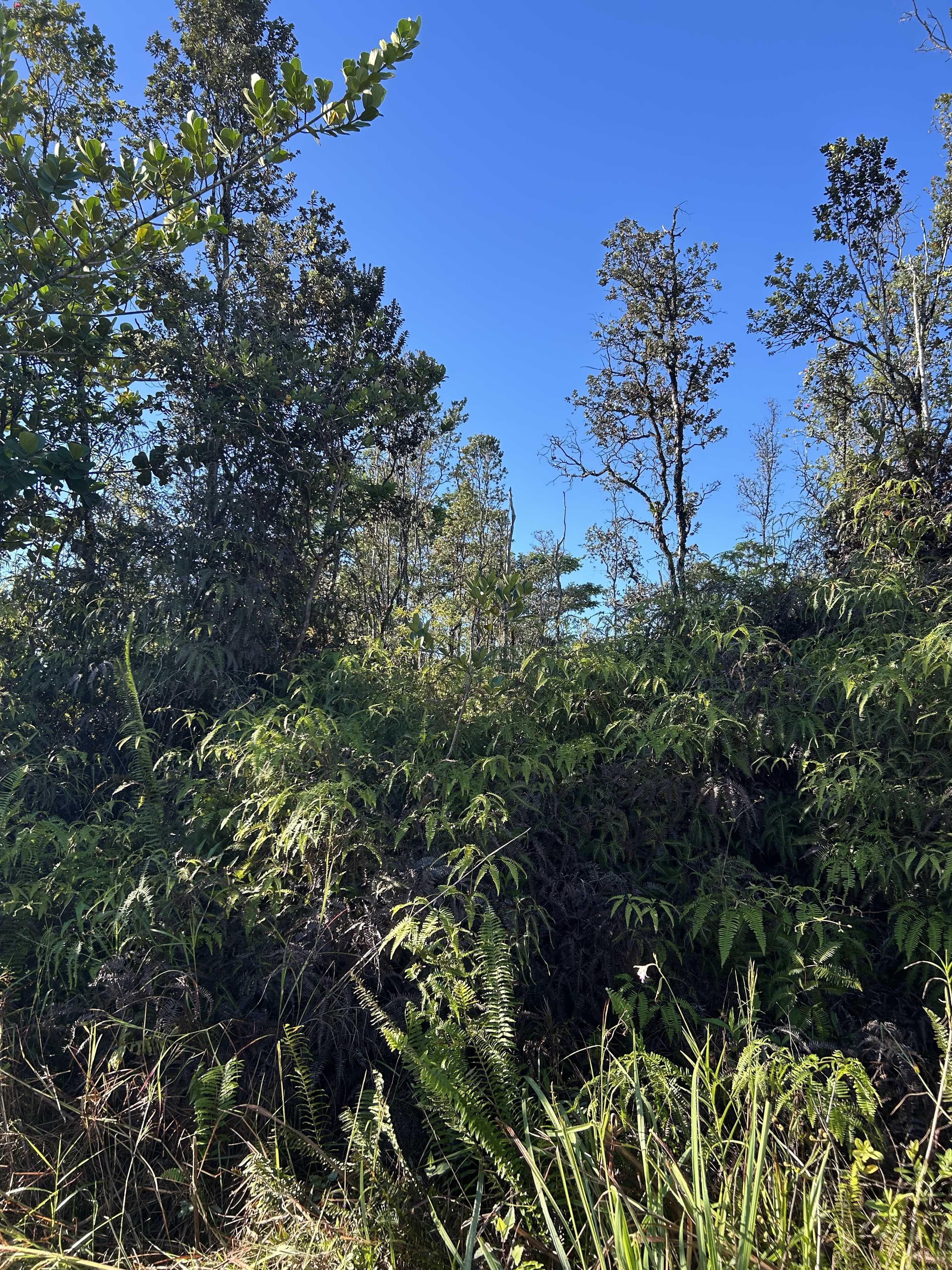 Keaau, HI 96749,15-1510 8TH AVE