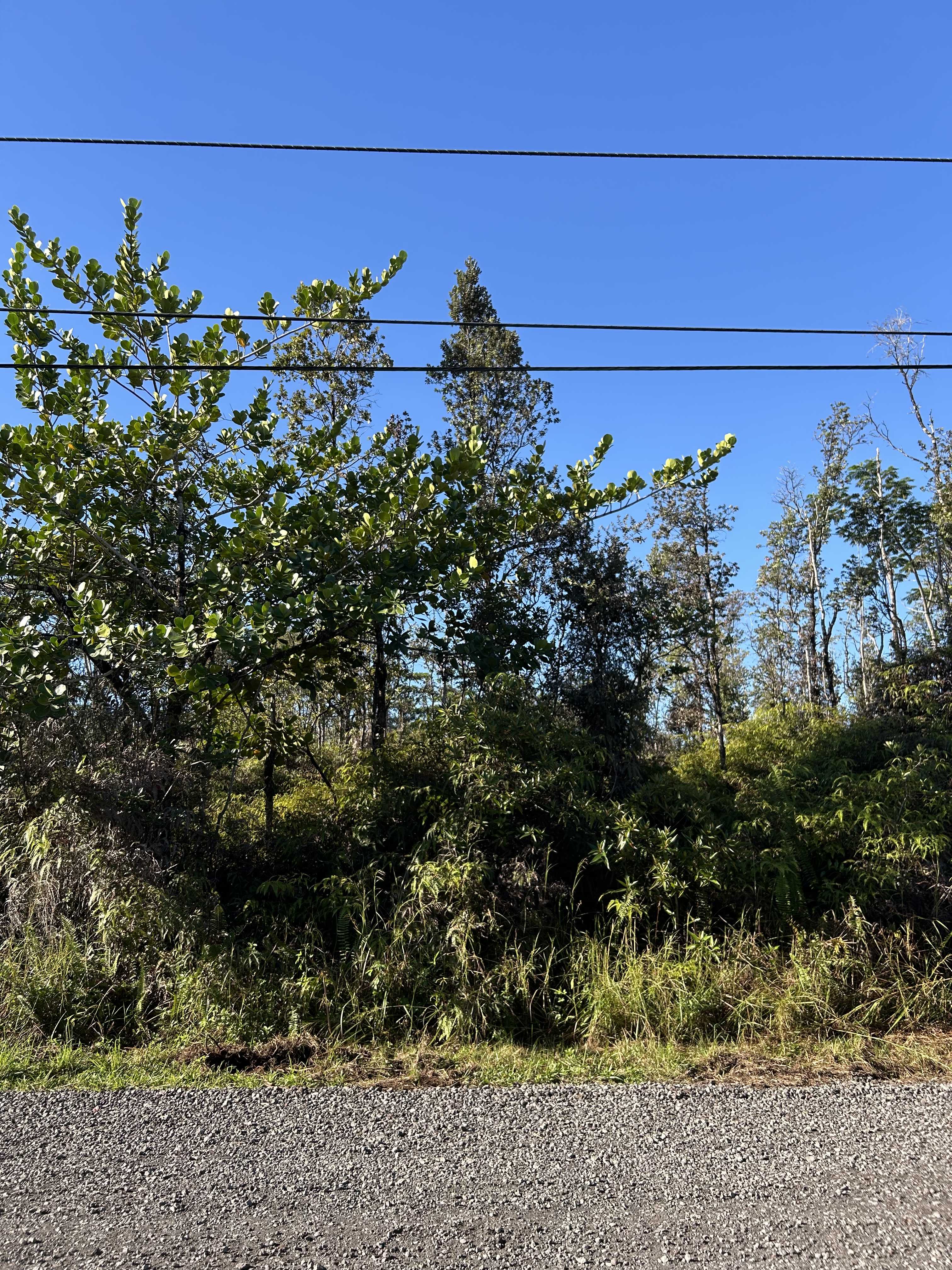 Keaau, HI 96749,15-1510 8TH AVE