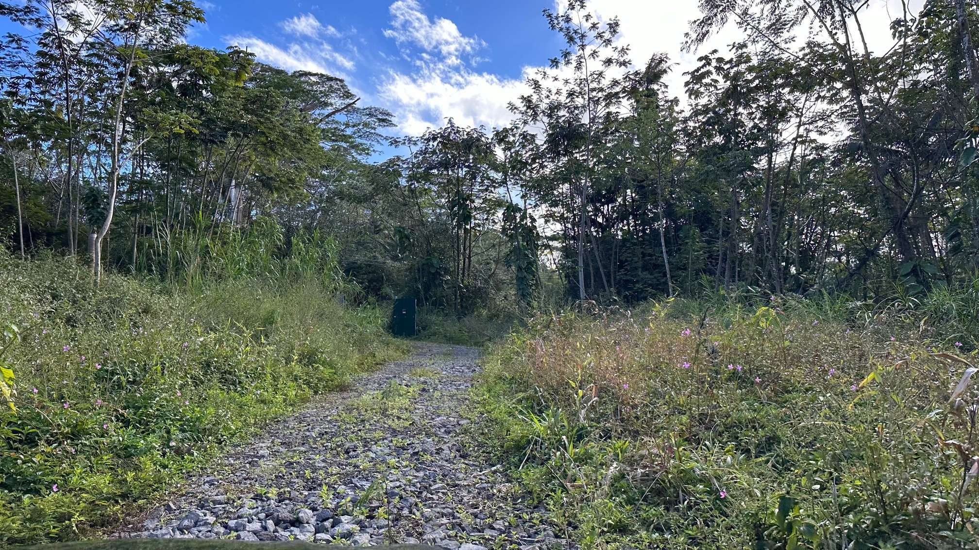 Pahoa, HI 96778,KAPOHO RD