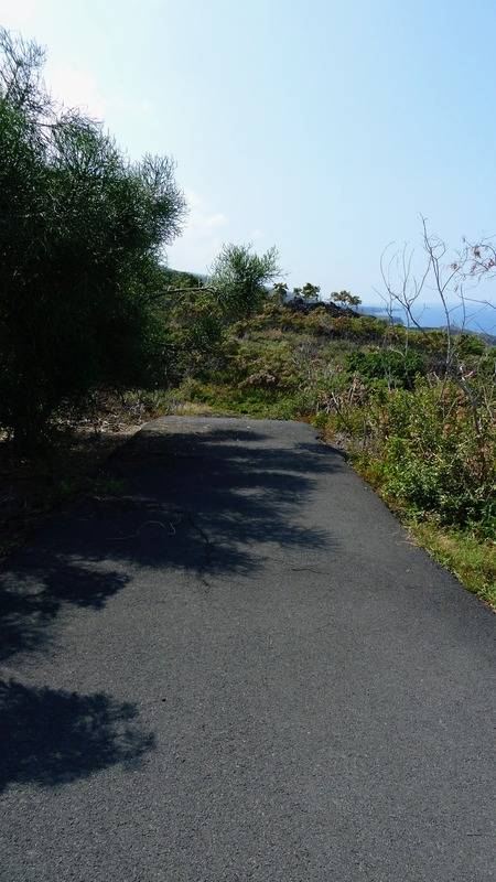 Captain Cook, HI 96704,87-3179 HONU HIAMOE RD