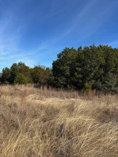 Weatherford, TX 76087,1255 Eagles Bluff Drive