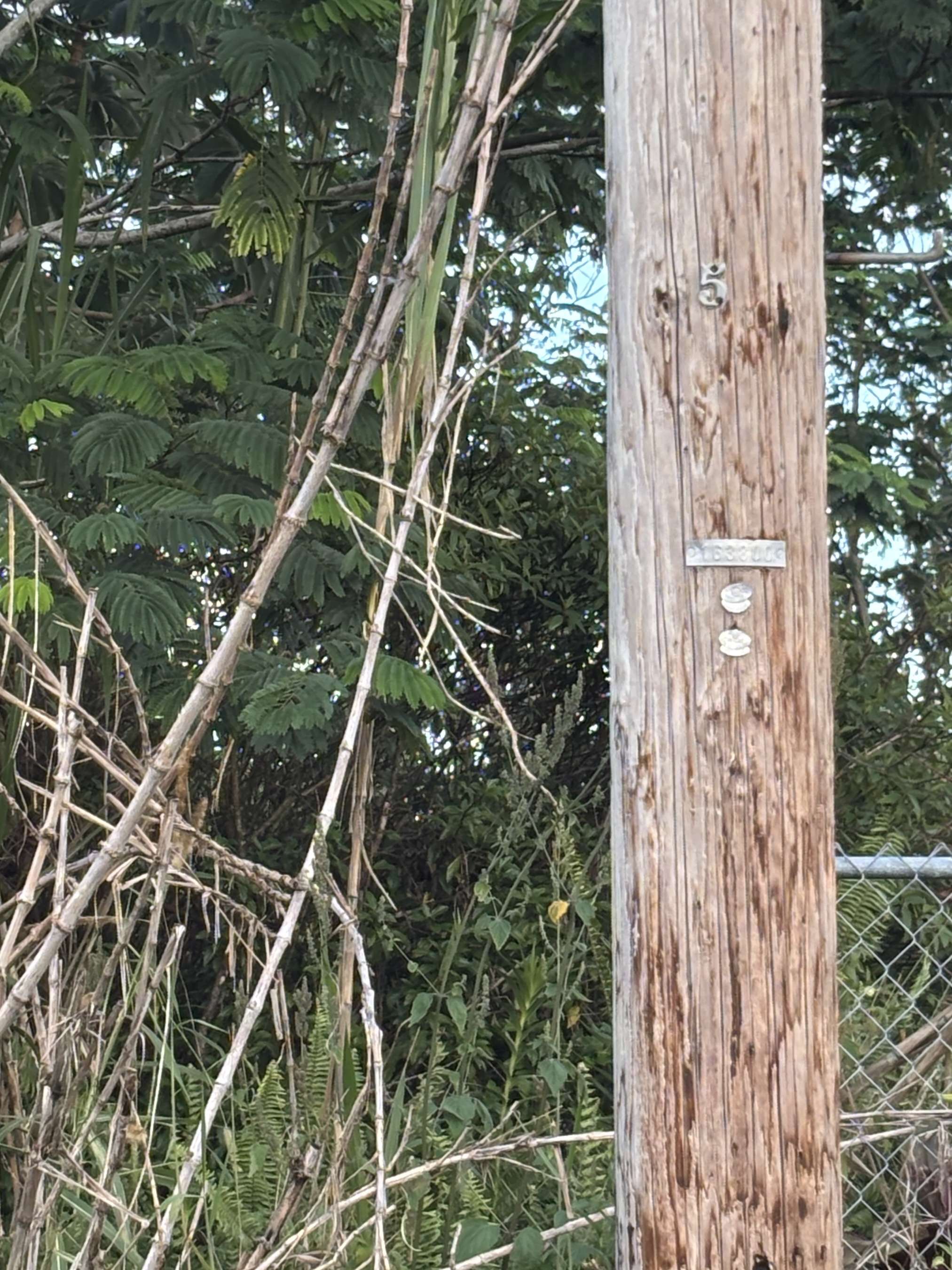 Pahoa, HI 96778,HIBISCUS DR