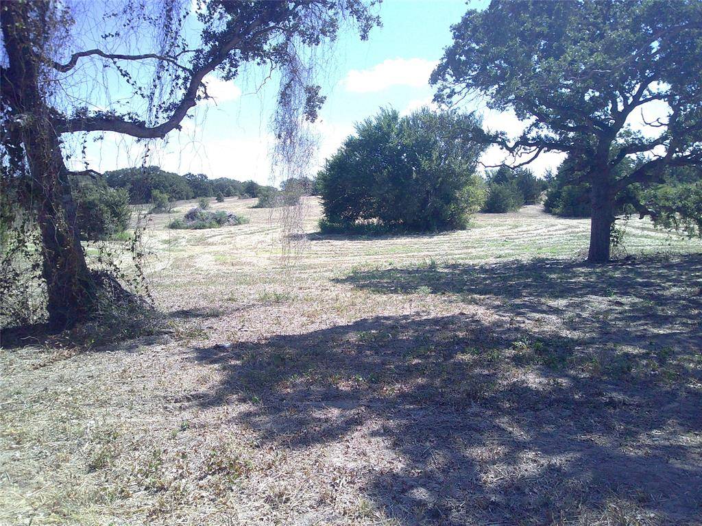 Montague, TX 76251,Tr 2 Border Street