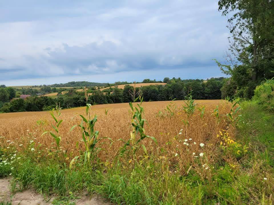 Brighton, ON K0K 1H0,979 County Rd 30 RD W