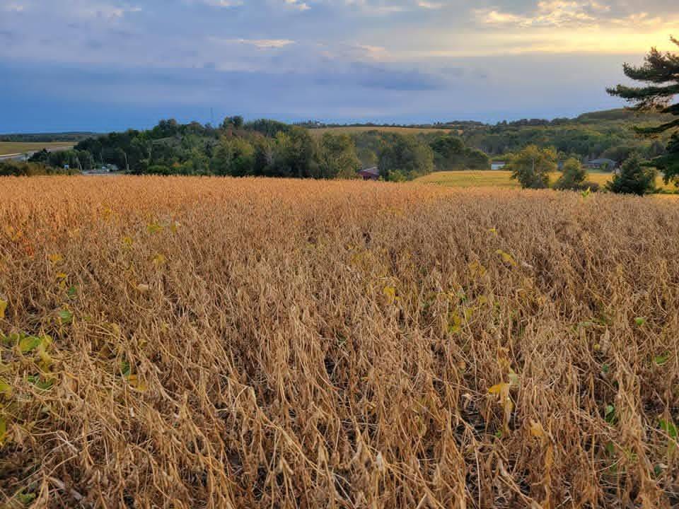 Brighton, ON K0K 1H0,979 County Rd 30 RD W