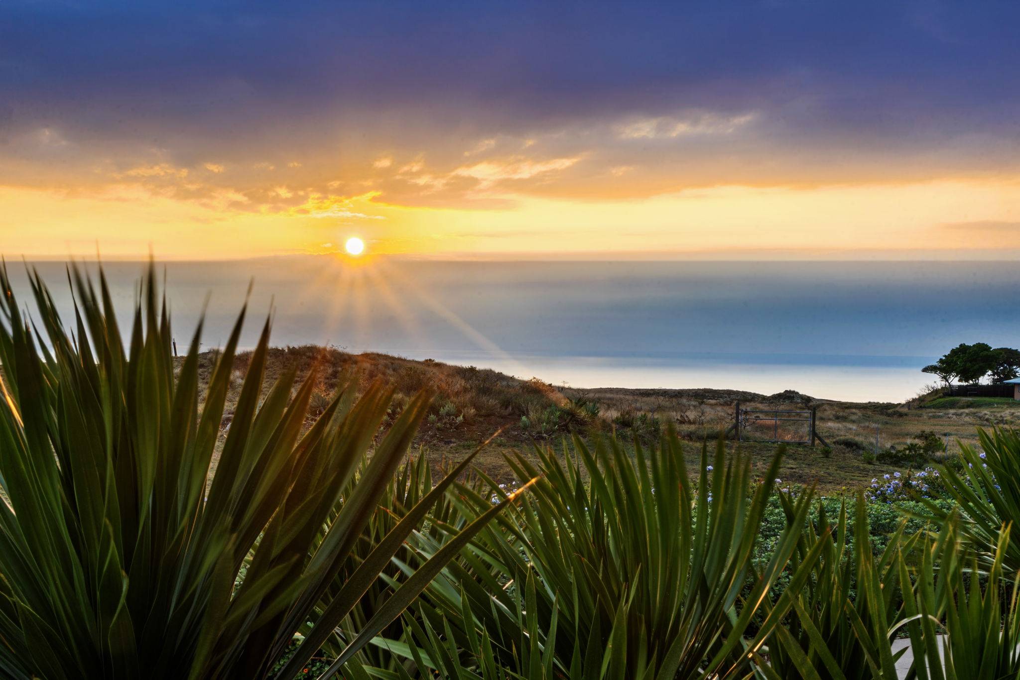 Kamuela, HI 96743,62-1320 AHO PL