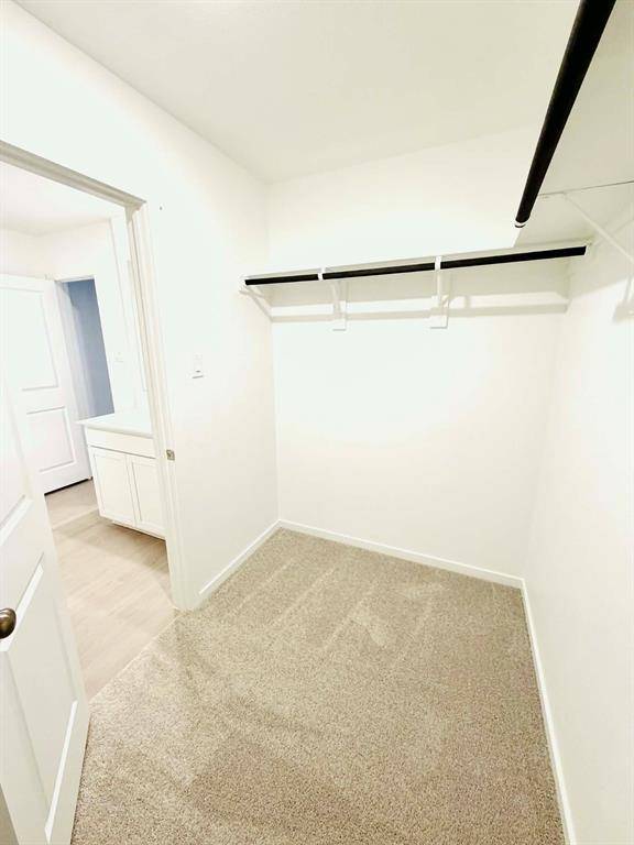 Aubrey, TX 76227,2017 Belgian Drive