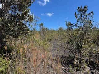 Ocean View, HI 96737,TIKI LN