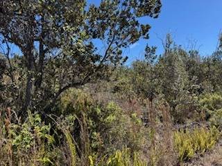 Ocean View, HI 96737,TIKI LN