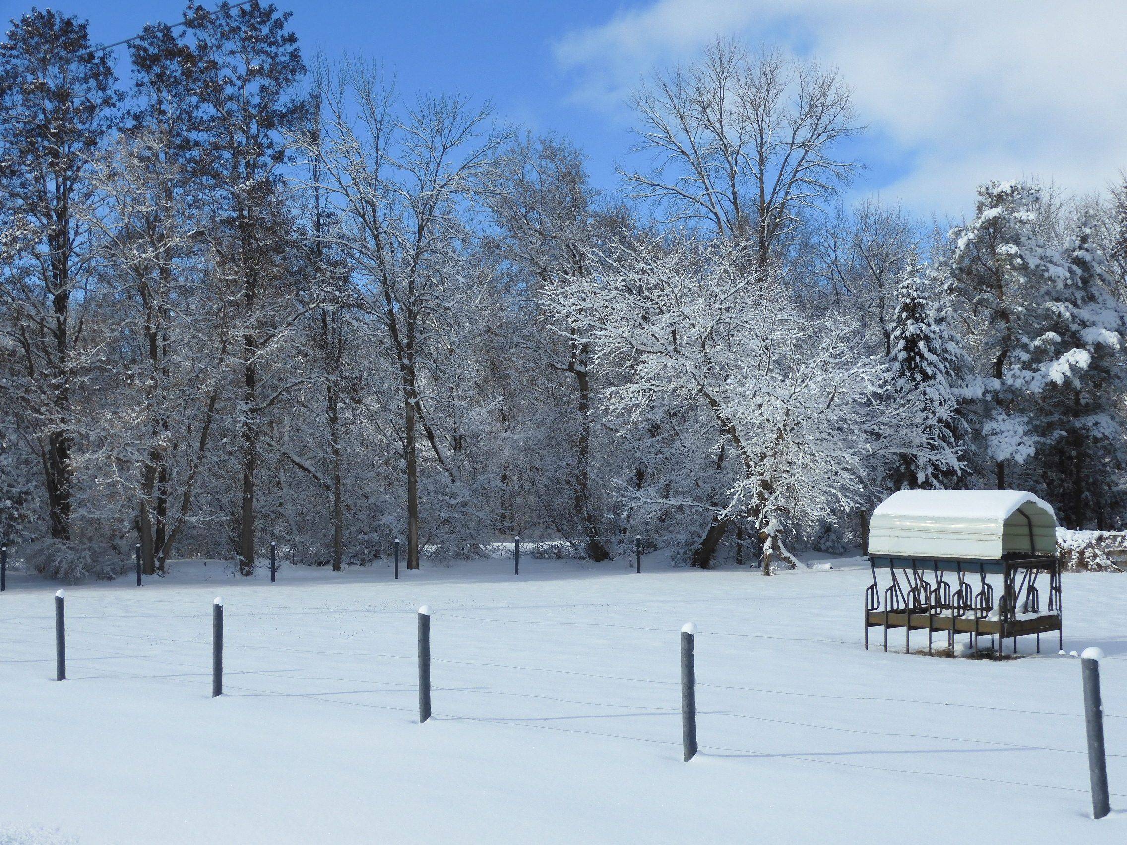 New Tecumseth, ON L0G 1A0,6824 10th Line