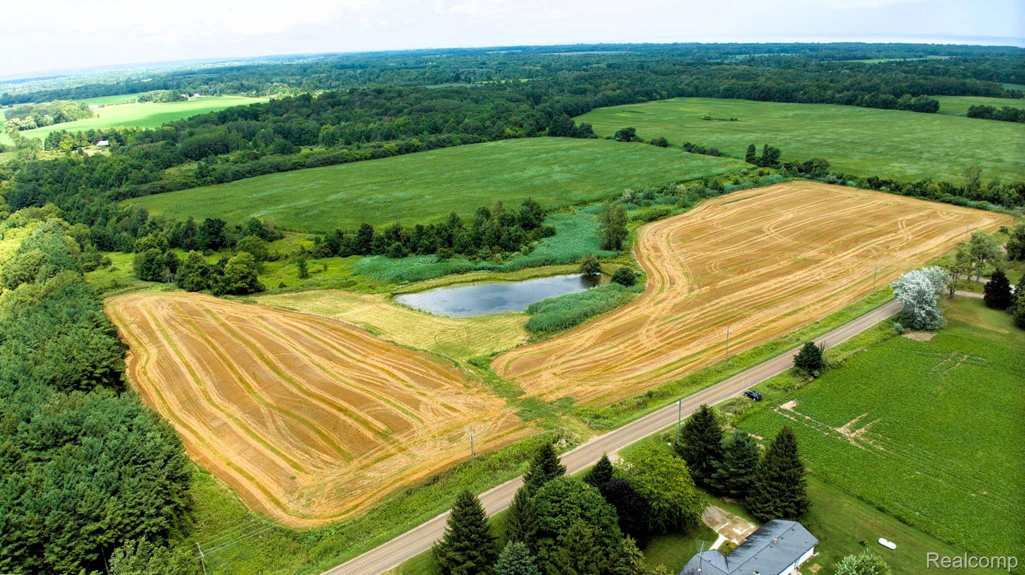 Carsonville, MI 48419,V/L Custer RD