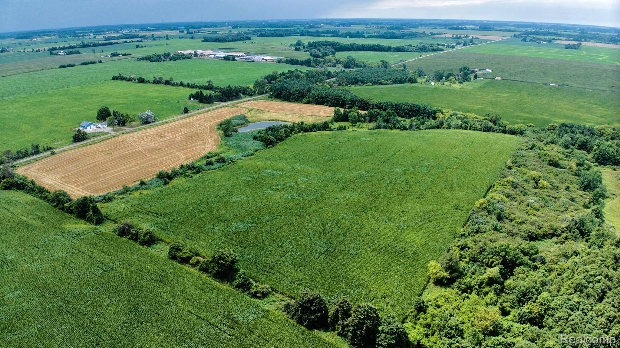 Carsonville, MI 48419,V/L Custer RD