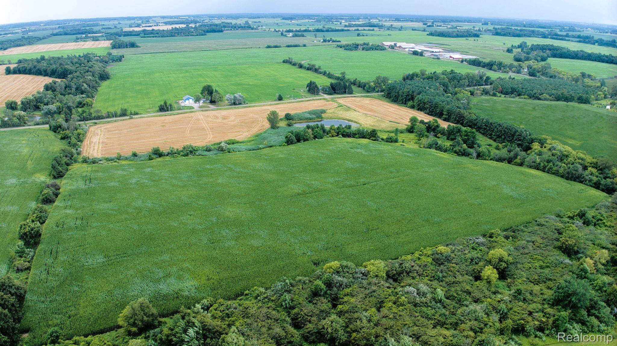 Carsonville, MI 48419,V/L Custer RD