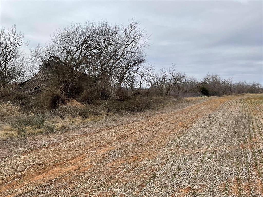 Ovalo, TX 79541,TBA FM 2405