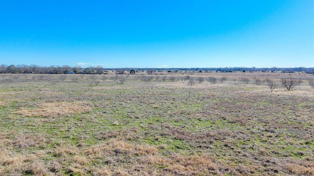 Kerens, TX 75144,Lot 6 NE CR 2160